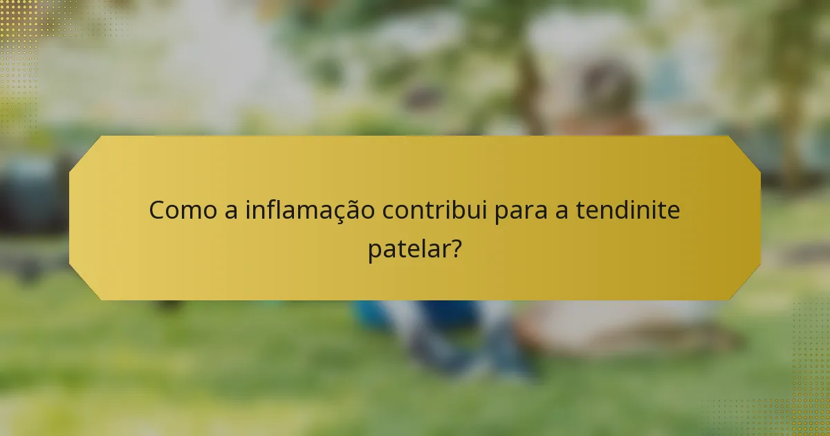 Como a inflamação contribui para a tendinite patelar?