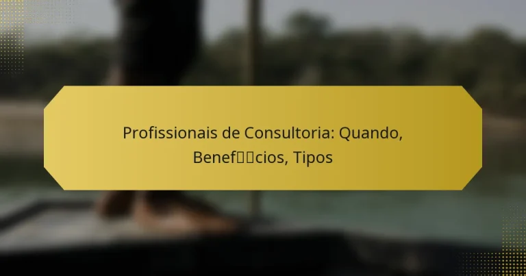 Profissionais de Consultoria: Quando, Benefícios, Tipos